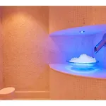 Hotel Kaya Palazzo Resort&casino 5*